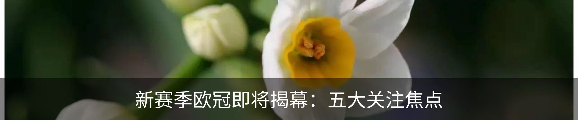 资讯动态